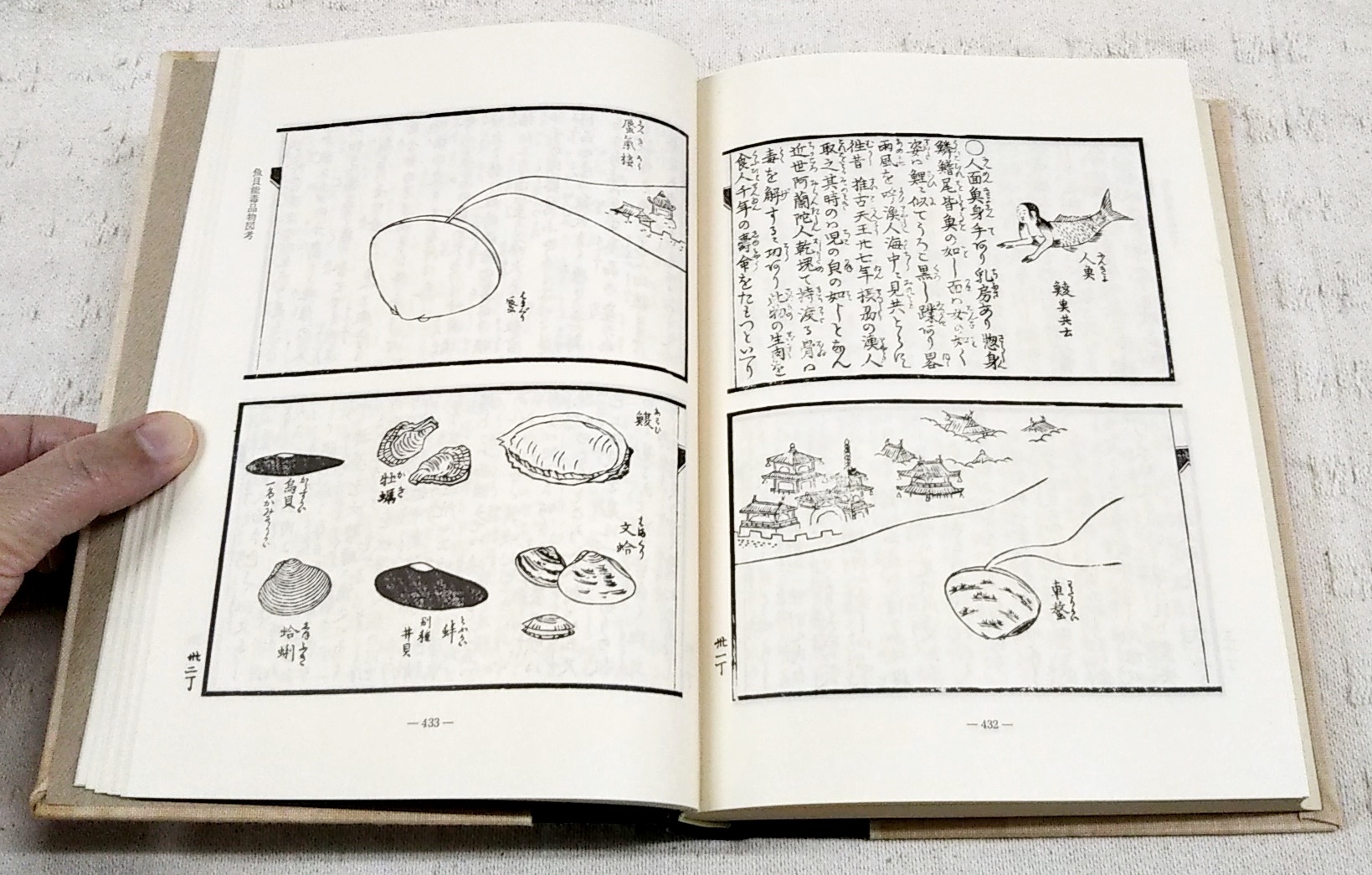 食物本草本大成　全12巻揃 食物本草本大成 全12巻揃(吉井始子 編) / 古本、中古本、古書籍