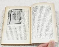 世界文学史物語