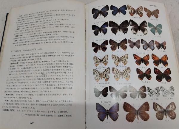 原色日本蝶類図鑑(川副昭人, 若林守男 共著) / 古本、中古本、古書籍の