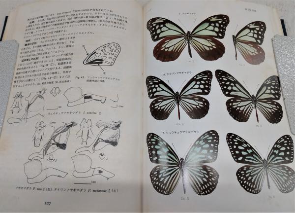 原色日本蝶類図鑑(川副昭人, 若林守男 共著) / 古本、中古本、古書籍の