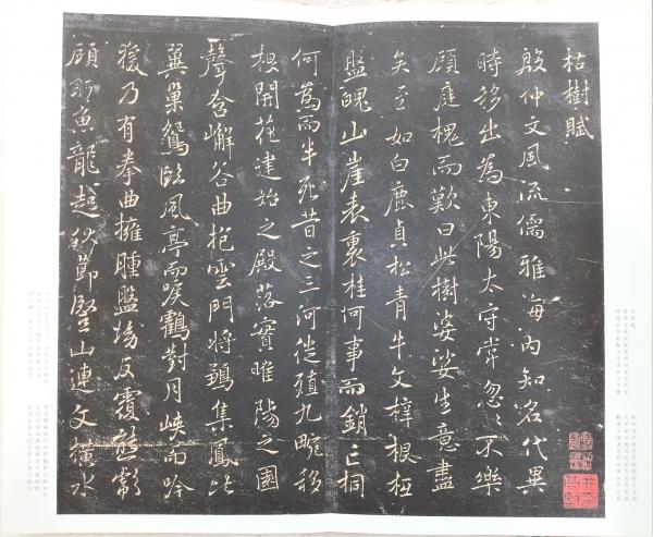 枯樹賦・哀冊(褚遂良 書) / 古本、中古本、古書籍の通販は「日本