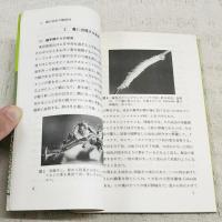 蛾の幼虫の見分け方 : 蛾の幼虫と寄主植物