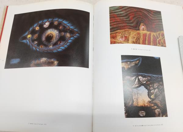 草間弥生展 : はじける宇宙(草間弥生展実行委員会 編) / 古本