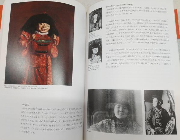 麗子と麗子像 : 肖像画の不思議(岸田夏子 編・著) / 古本、中古本、古