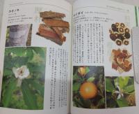 薬用植物区を歩く：薬用植物区ガイドブック