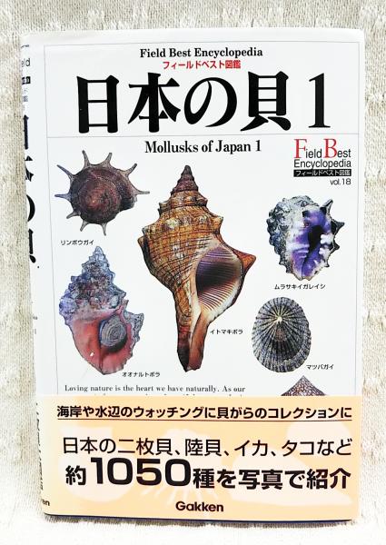 日本の貝(奥谷喬司 著) / 古本、中古本、古書籍の通販は「日本の古本屋