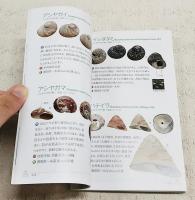 海辺で拾える貝ハンドブック