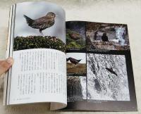 森と海をつなぐ川の住人 : 川の生きものを知ることは、川の健康状態を知ることだ。