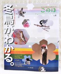 冬鳥がわかる。 : 冬にしか会えない鳥がいるんです。