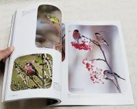 冬鳥がわかる。 : 冬にしか会えない鳥がいるんです。