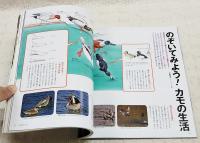 冬鳥がわかる。 : 冬にしか会えない鳥がいるんです。