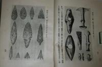 人類進化史