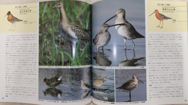 日本の野鳥 | 高野 伸二【編】 | 山と渓谷社 | ¥1,650 - 日本の古本屋