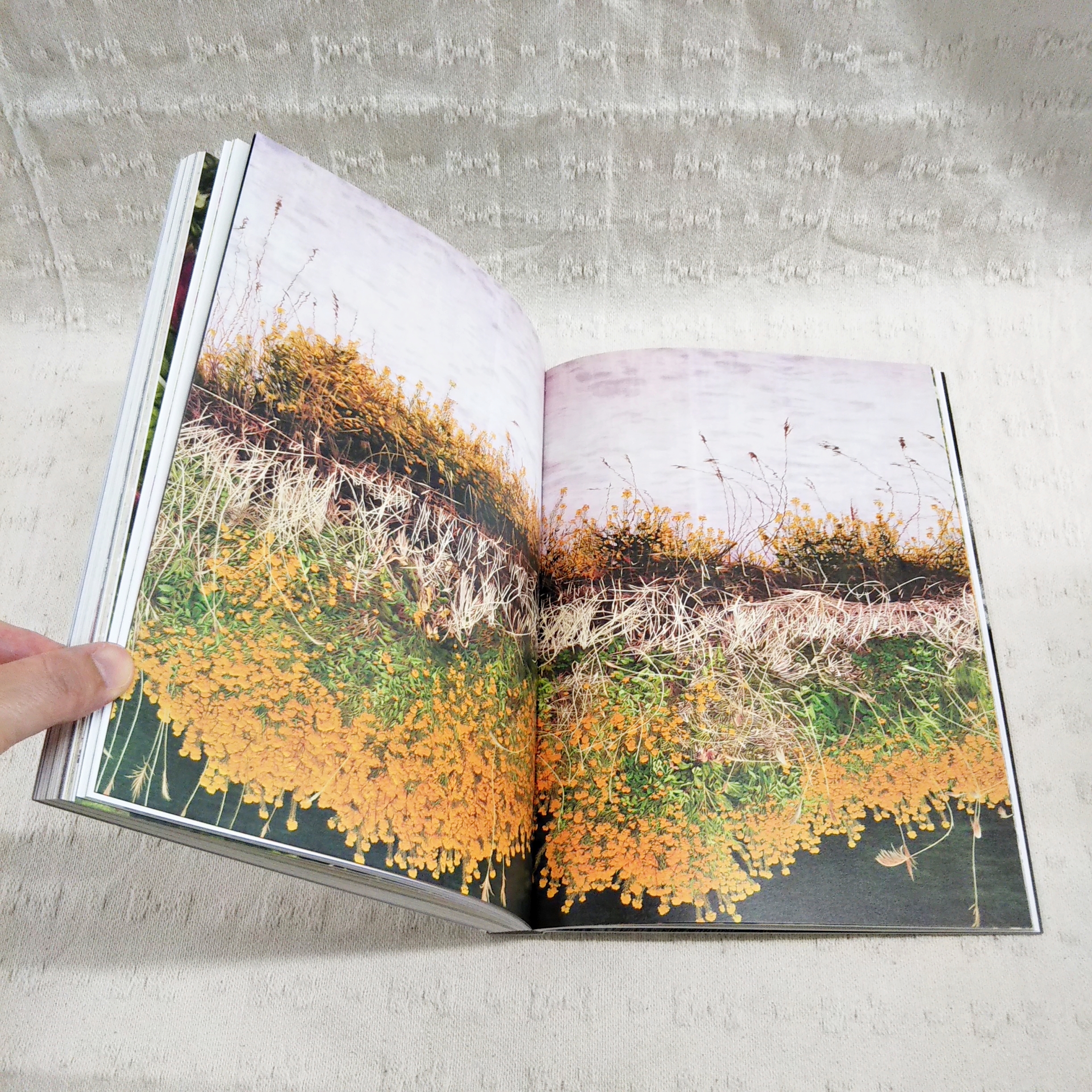 中古】吉村芳生 超絶技巧を超えて [図録] Yahoo!オークション -「吉村