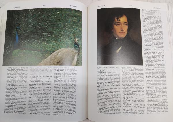 The new Oxford illustrated dictionary / 古本、中古本、古書籍の通販