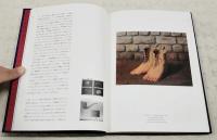 視覚の裏側展 : irony by vision : Rene Magritte, Marcel Broodthaers, Panamarenko, Jan Fabre : an exhibition curated by Jan Hoet