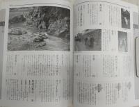 京都暮らしの大百科 : まつり・伝承・しきたり12カ月