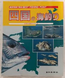 四国の海釣り : 航空写真で見るbest fishing point