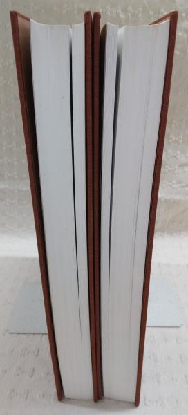 仏教図像聚成 : 六角堂能満院仏画粉本(京都市立芸術大学芸術