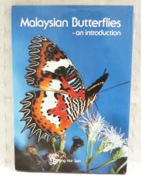 Malaysian Butterflies ～an introduction