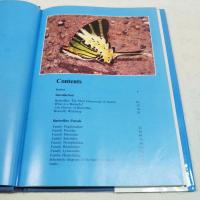 Malaysian Butterflies ～an introduction