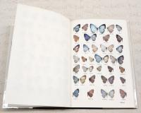 Butterflies of west Malaysia and Singapore Volume. 1 & 2 （2冊セット）