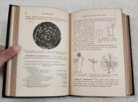Bacteriology For Students In General And Household Science : revised edition