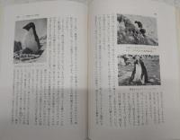 南極と北極