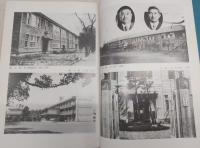 高知附小の百年