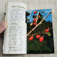 薬草事典 : 薬草百選・管理と使い方・歴史と読み方
