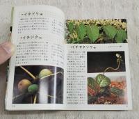 薬草事典 : 薬草百選・管理と使い方・歴史と読み方