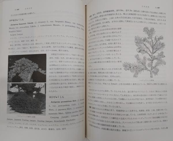 樹木大図説　全四巻　上原敬二　有明書房 樹木大図説 全4冊揃い(全3巻＋索引)(上原敬二) / 古本、中古本、古書籍