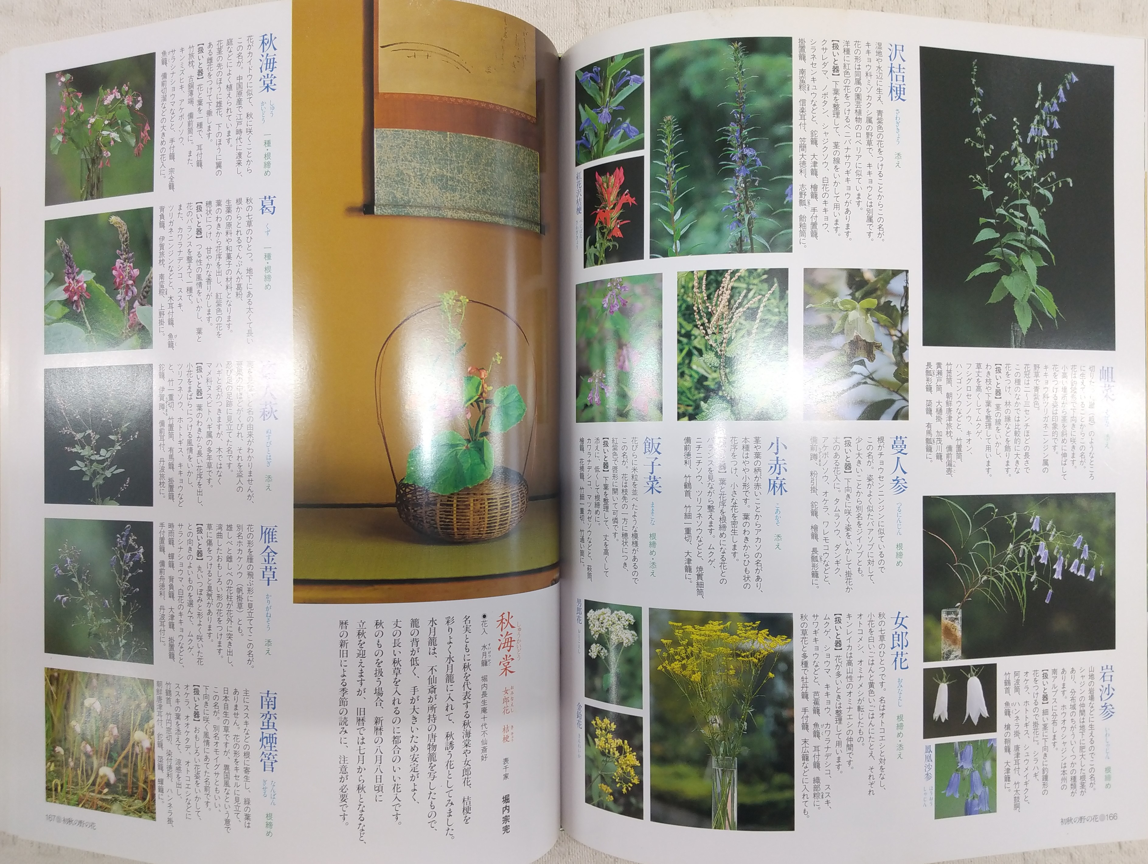 茶花づくし 炉編・風炉編(千 宗左;千 宗室【監修】) / ぶっ 