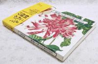 江戸の変わり咲き朝顔