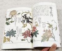 江戸の変わり咲き朝顔