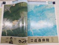 ガイド飛行マップ : 高知市全域とその周辺・7000分の1