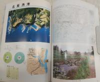 黒潮との出会い：高知の漁港・漁村