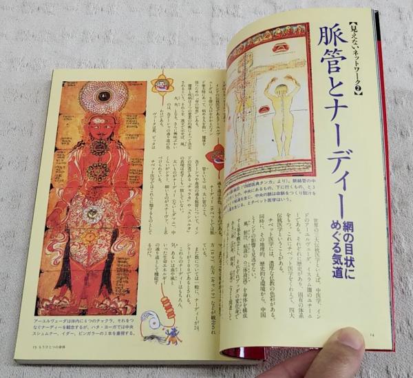 東洋医学の本 : 心と体に効く奇跡の療法を探る / 古本、中古本
