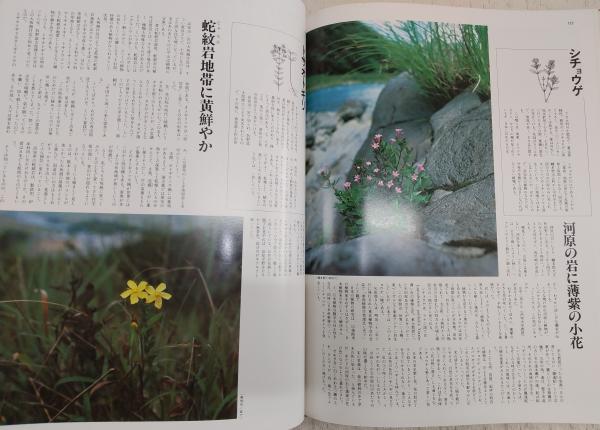 土佐の博物誌 : 高知新聞創刊75周年記念出版 / ぶっくいん高知