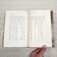 王城の護衛者
