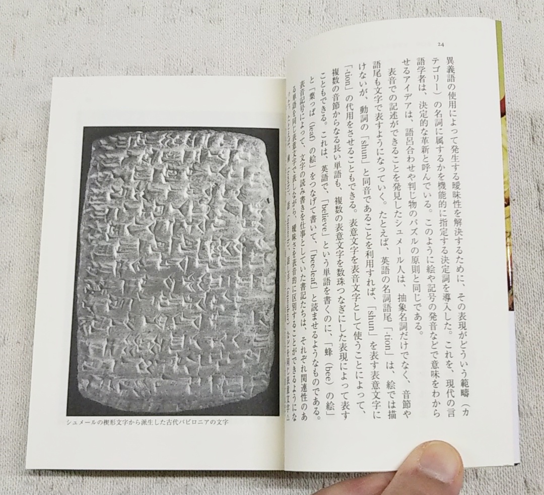 銃・病原菌・鉄 一万三〇〇〇年にわたる人類史の謎 上下巻 銃・病原菌・鉄 一万三〇〇〇年にわたる人類史の謎 上下巻