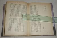 幻想のラビリンス　上下(全2巻)