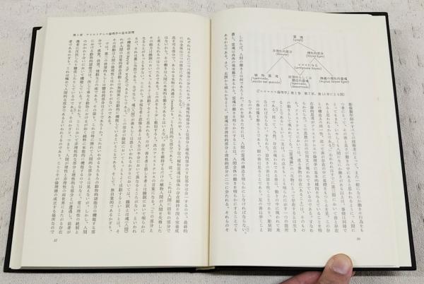 アリストテレスの倫理思想 | 岩田靖夫 著 | 岩波書店 | ¥7,480 - 日本