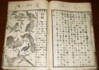 博物教授法