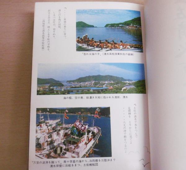 土佐清水市史 上・下巻(2冊揃い) (高知県)(土佐清水市史編纂委員会 編