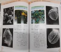 花々の花粉の形態
