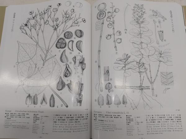 国内外の人気が集結 浅野貞夫 日本植物生態図鑑 初版 その他