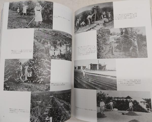 写真・絵画集成 日本人移民 全4巻揃い(1、ハワイ・北米大陸/2