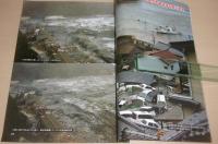 大津波襲来 : 石巻地方の記録 : 2011 3・11大震災 : 特別報道写真集