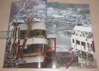 大津波襲来 : 石巻地方の記録 : 2011 3・11大震災 : 特別報道写真集